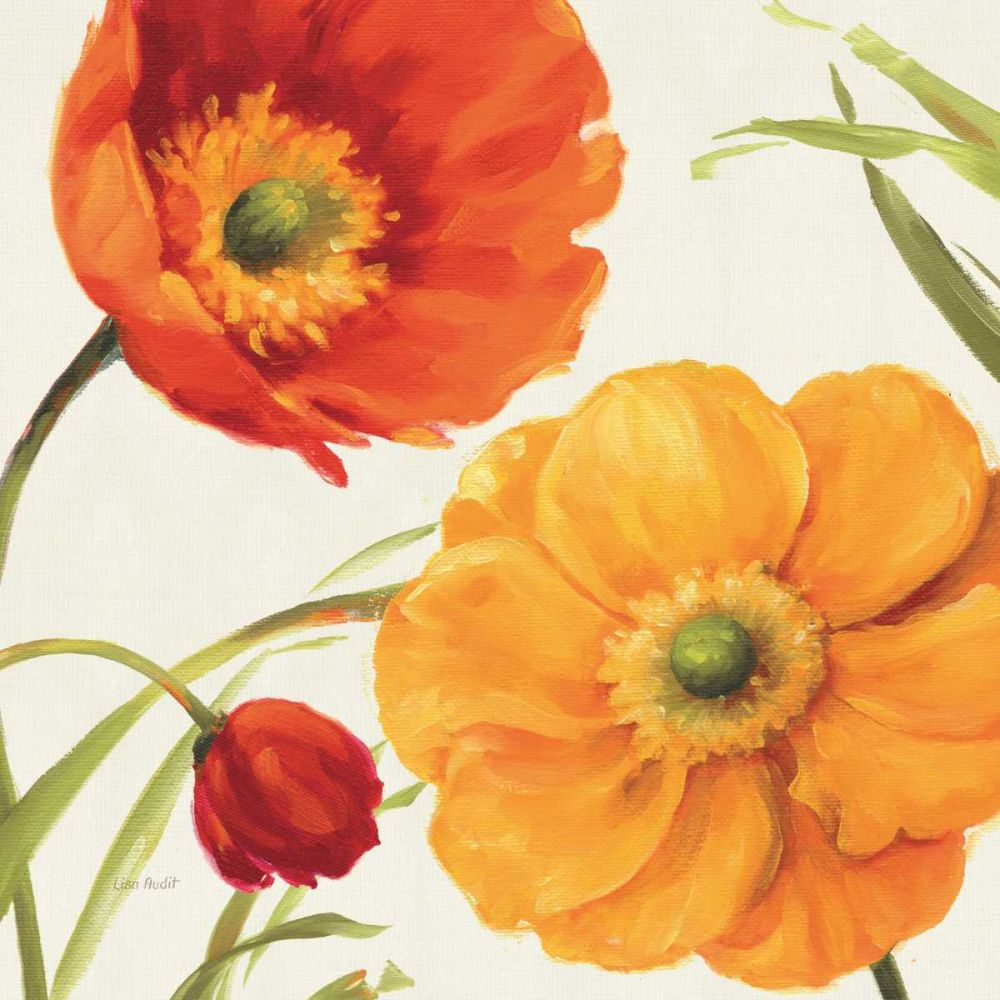 Poppies Melody II art print by Lisa Audit for $57.95 CAD