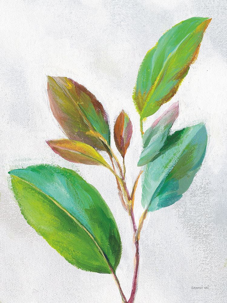 Natural Riches Leaves II art print by Danhui Nai for $57.95 CAD
