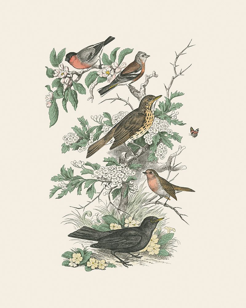 Honeybloom Bird I art print by Wild Apple Portfolio for $57.95 CAD