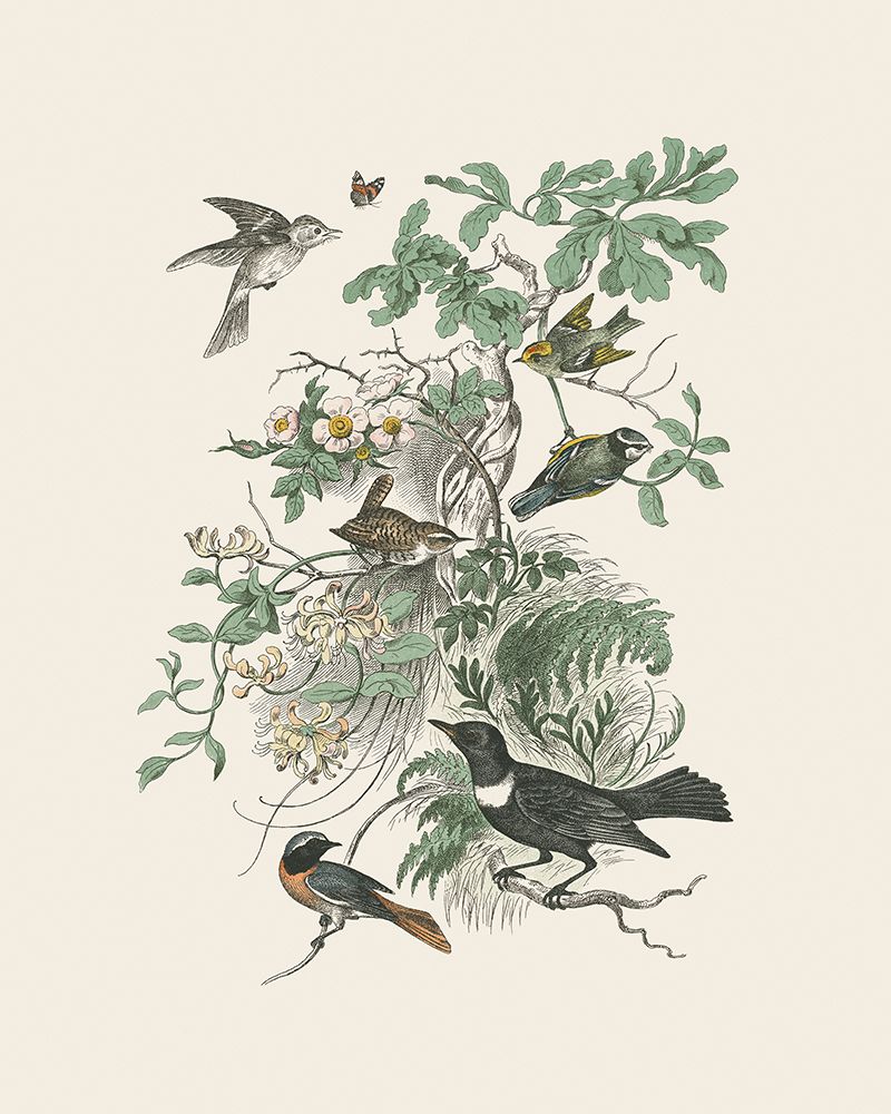 Honeybloom Bird II art print by Wild Apple Portfolio for $57.95 CAD