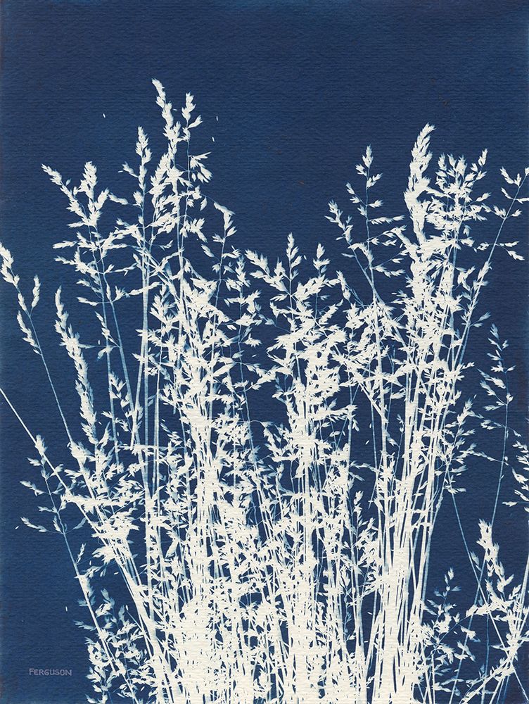 Ornamental Grass I art print by Kathy Ferguson for $57.95 CAD