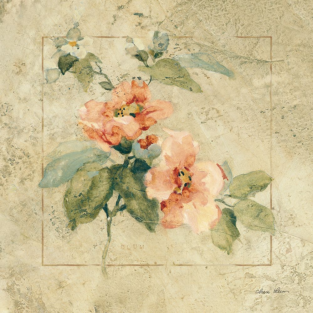 Provence Rose I art print by Cheri Blum for $57.95 CAD