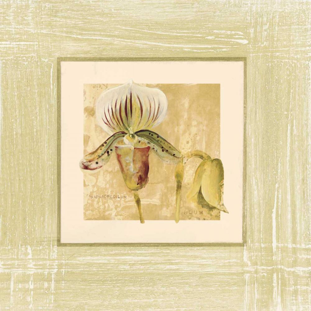 Exotic Floral II art print by Cheri Blum for $57.95 CAD