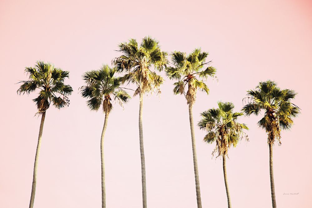Summer V Pink art print by Laura Marshall for $57.95 CAD