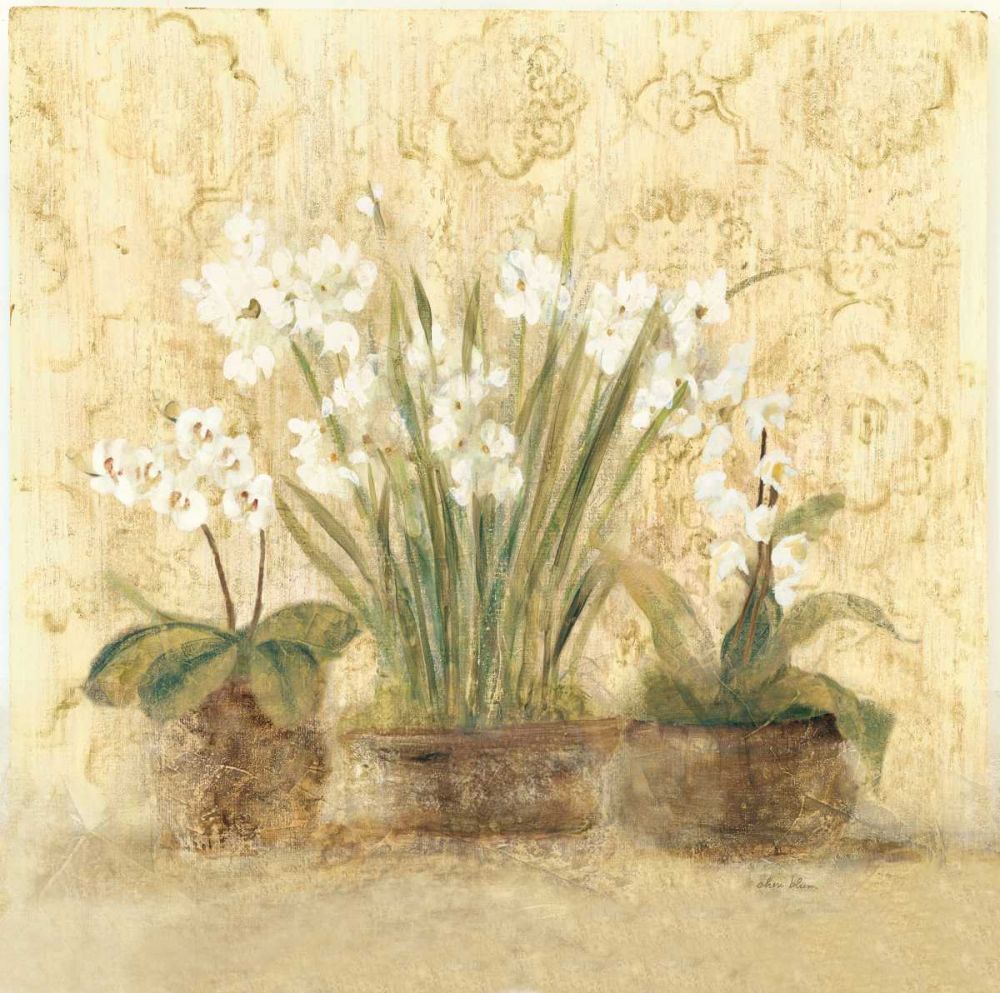 k 8232 Esprit NarcOrch art print by Cheri Blum for $57.95 CAD