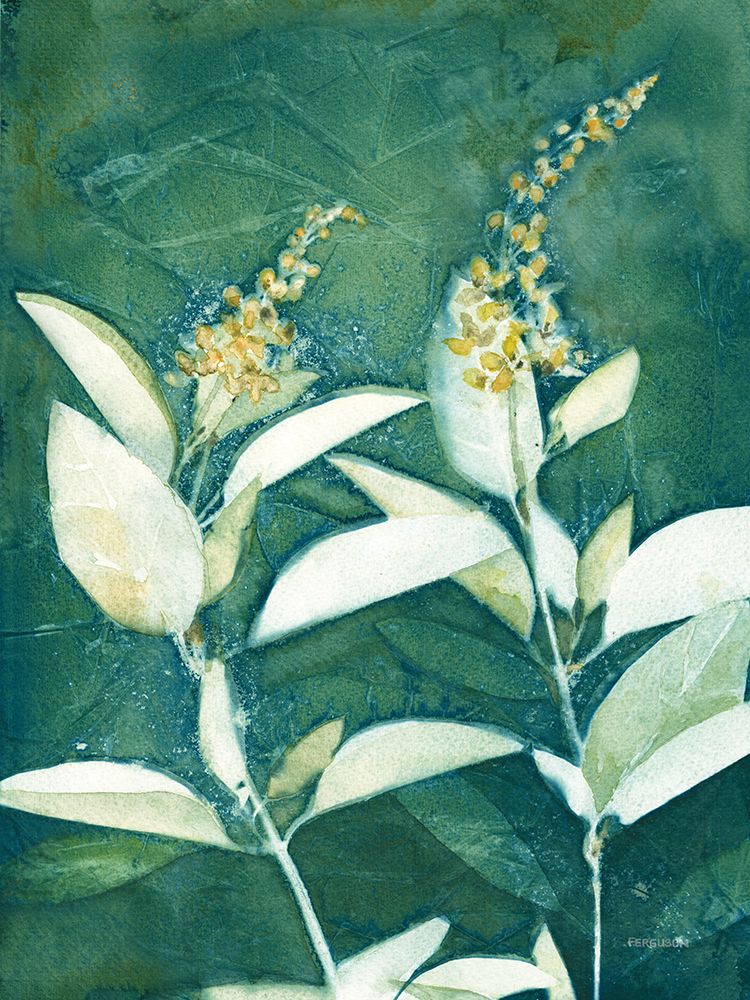 Shower of Gold IV Light art print by Kathy Ferguson for $57.95 CAD