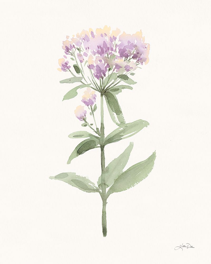 Flowers of the Wild II Pastel art print by Katrina Pete for $57.95 CAD