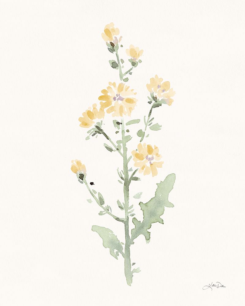 Flowers of the Wild III Pastel art print by Katrina Pete for $57.95 CAD
