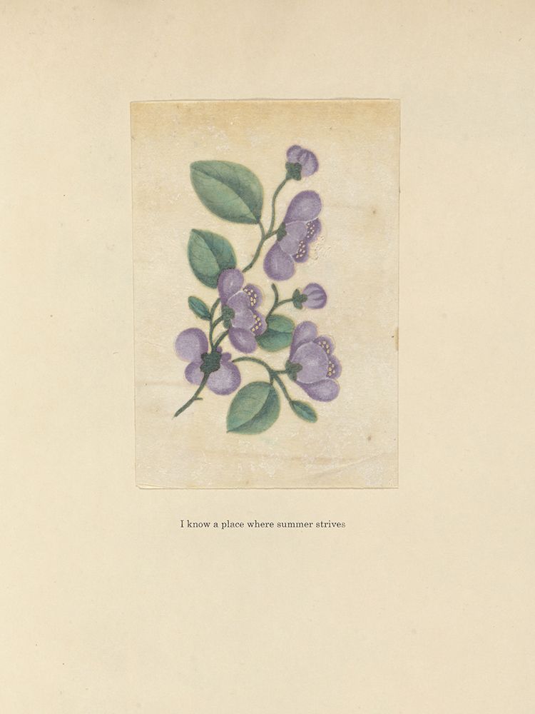 Textbook Floral Pastel art print by Wild Apple Portfolio for $57.95 CAD