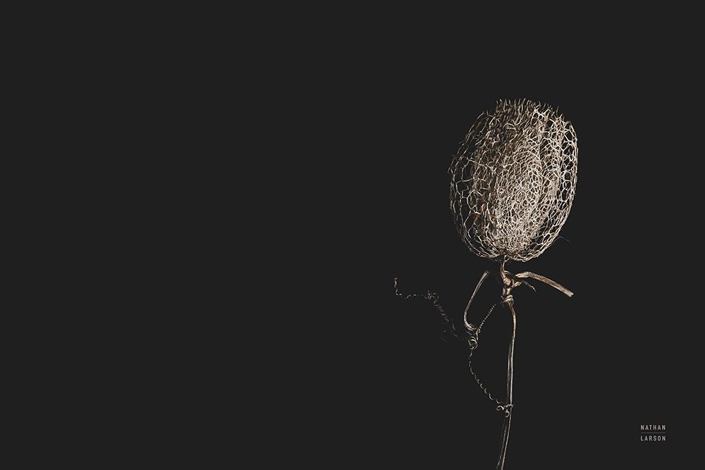 The Flower art print by Nathan Larson for $57.95 CAD