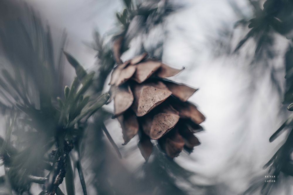 cooling art print by Nathan Larson for $57.95 CAD