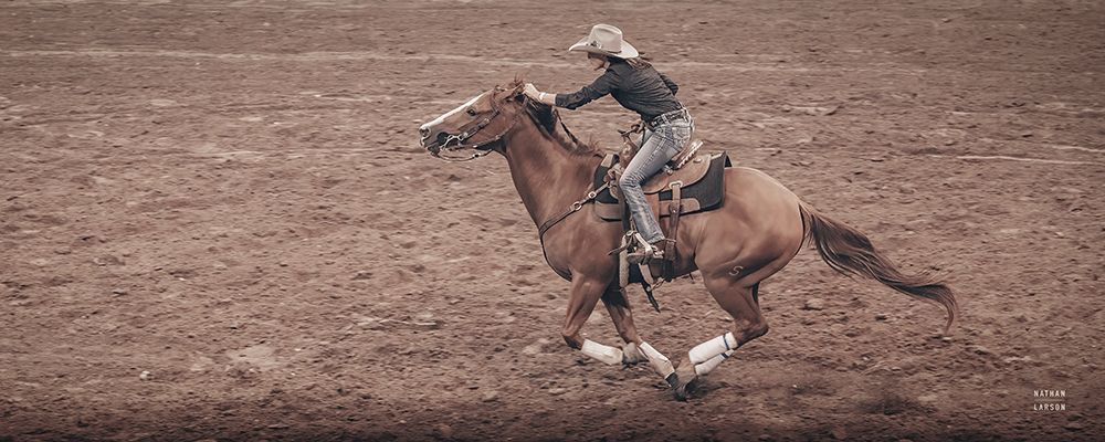 Rodeo II art print by Nathan Larson for $57.95 CAD