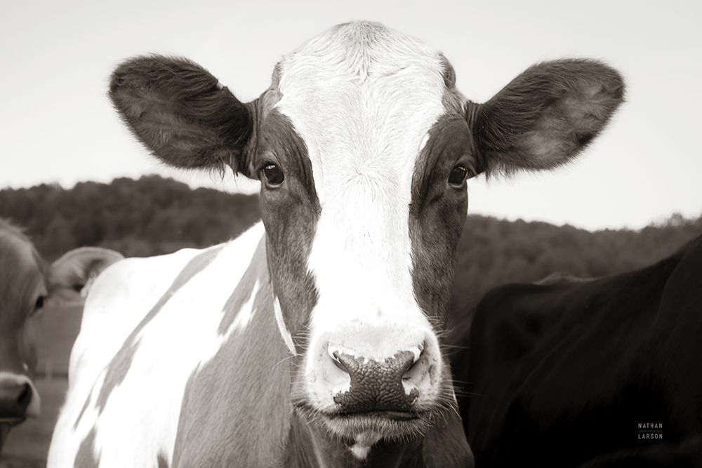 At the Barn art print by Nathan Larson for $57.95 CAD