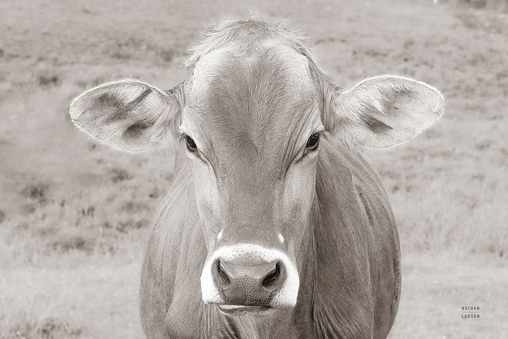 Dairy Barn Neutral art print by Nathan Larson for $57.95 CAD