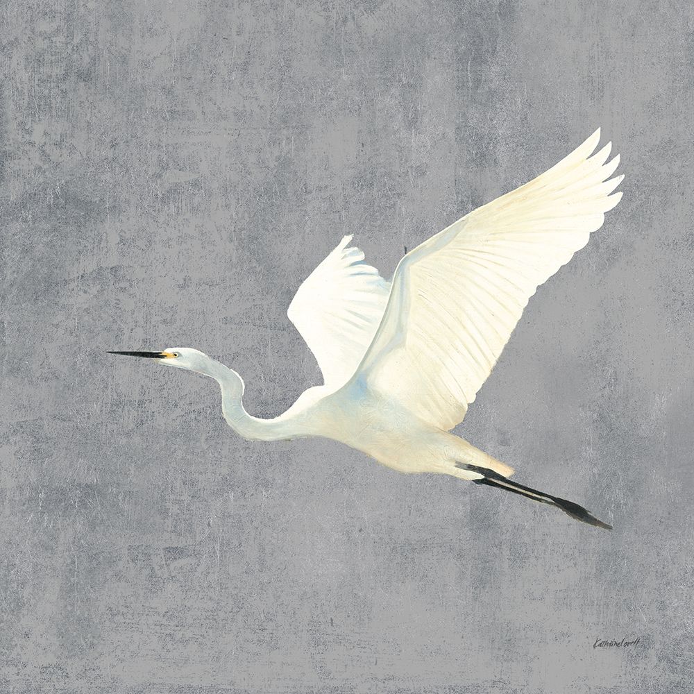 Egret Alighting II Flipped Gray No Grass art print by Kathrine Lovell for $57.95 CAD