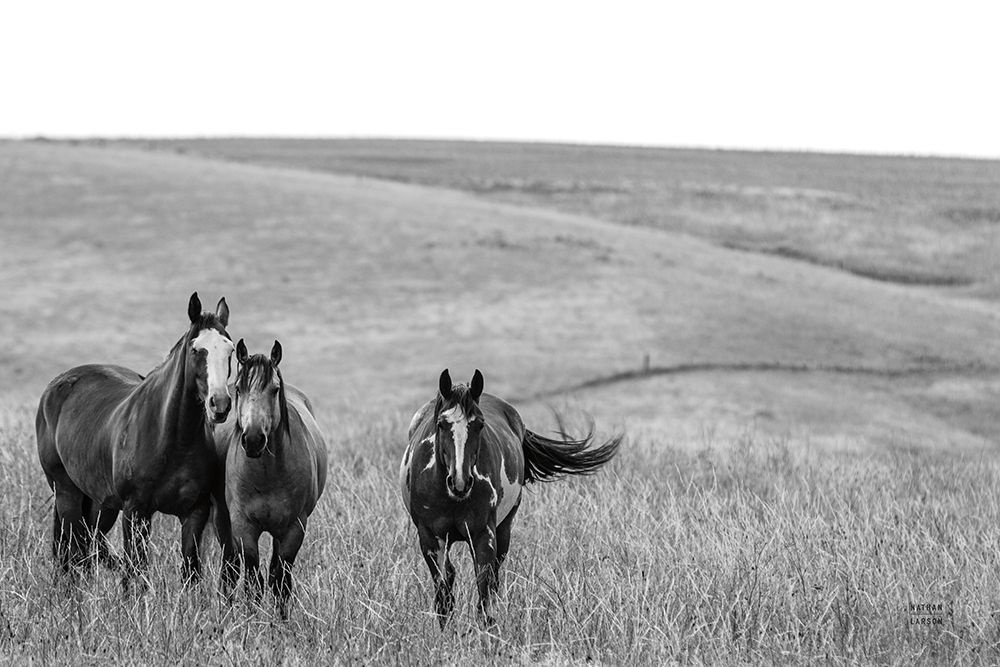 Montana Moves v2 art print by Nathan Larson for $57.95 CAD