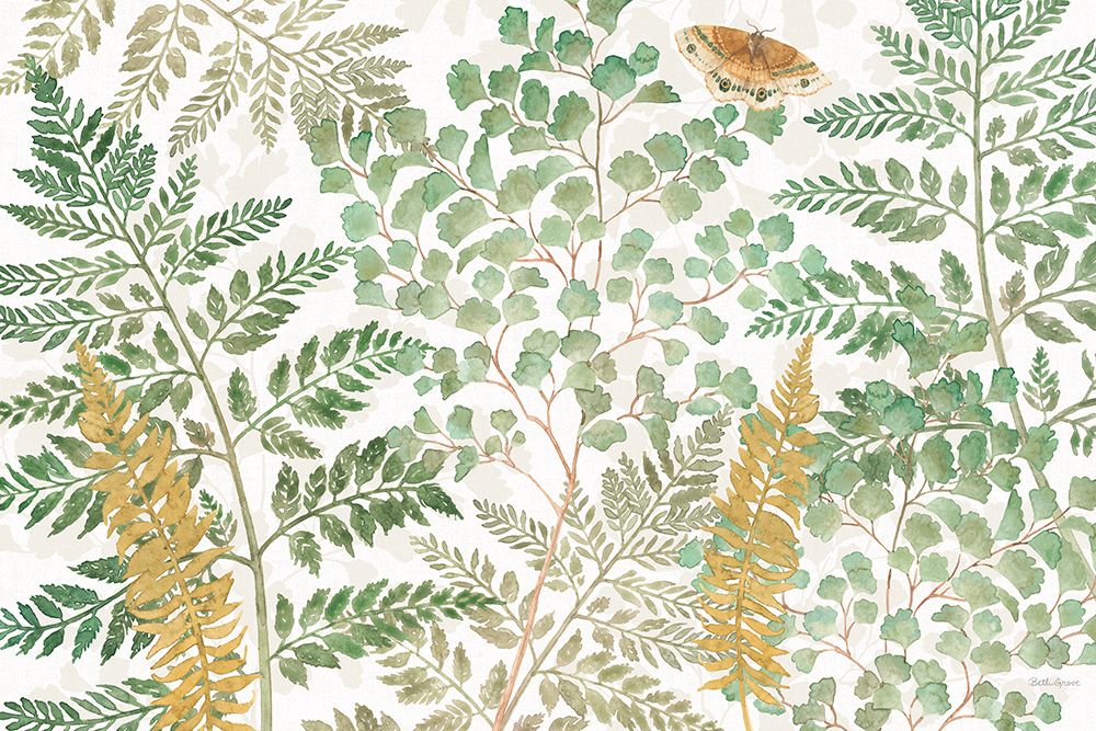 Forest Finds I art print by Beth Grove for $57.95 CAD