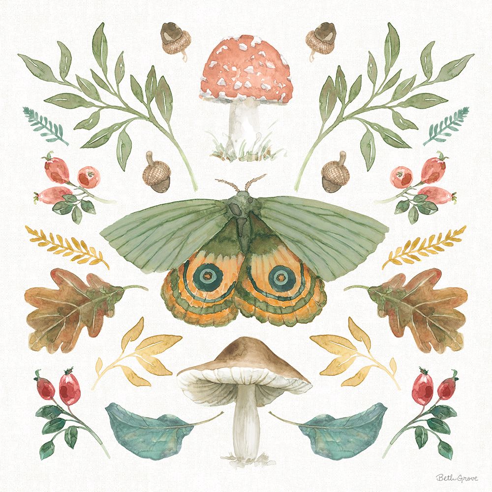 Forest Finds III art print by Beth Grove for $57.95 CAD