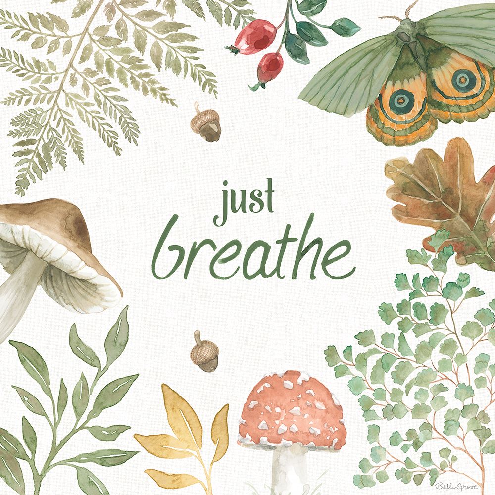 Forest Finds V art print by Beth Grove for $57.95 CAD