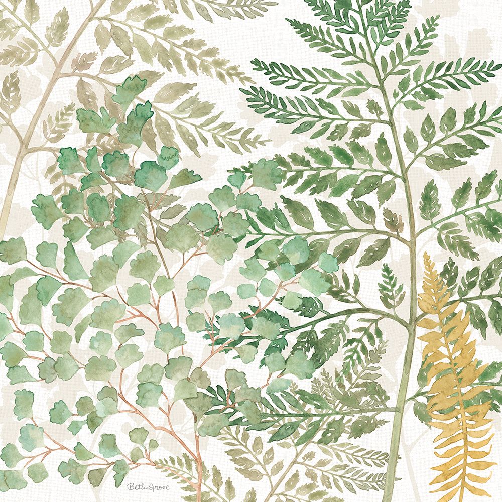 Forest Finds VII art print by Beth Grove for $57.95 CAD