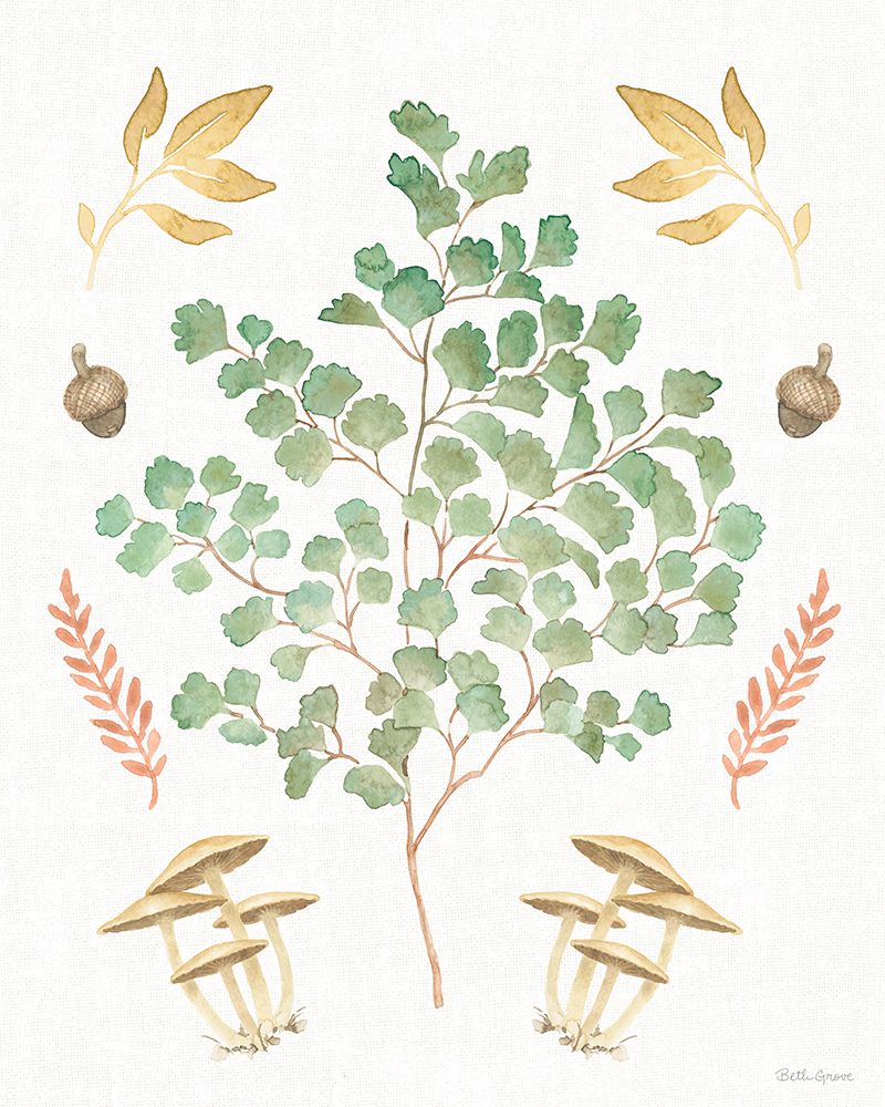 Forest Finds VIII art print by Beth Grove for $57.95 CAD