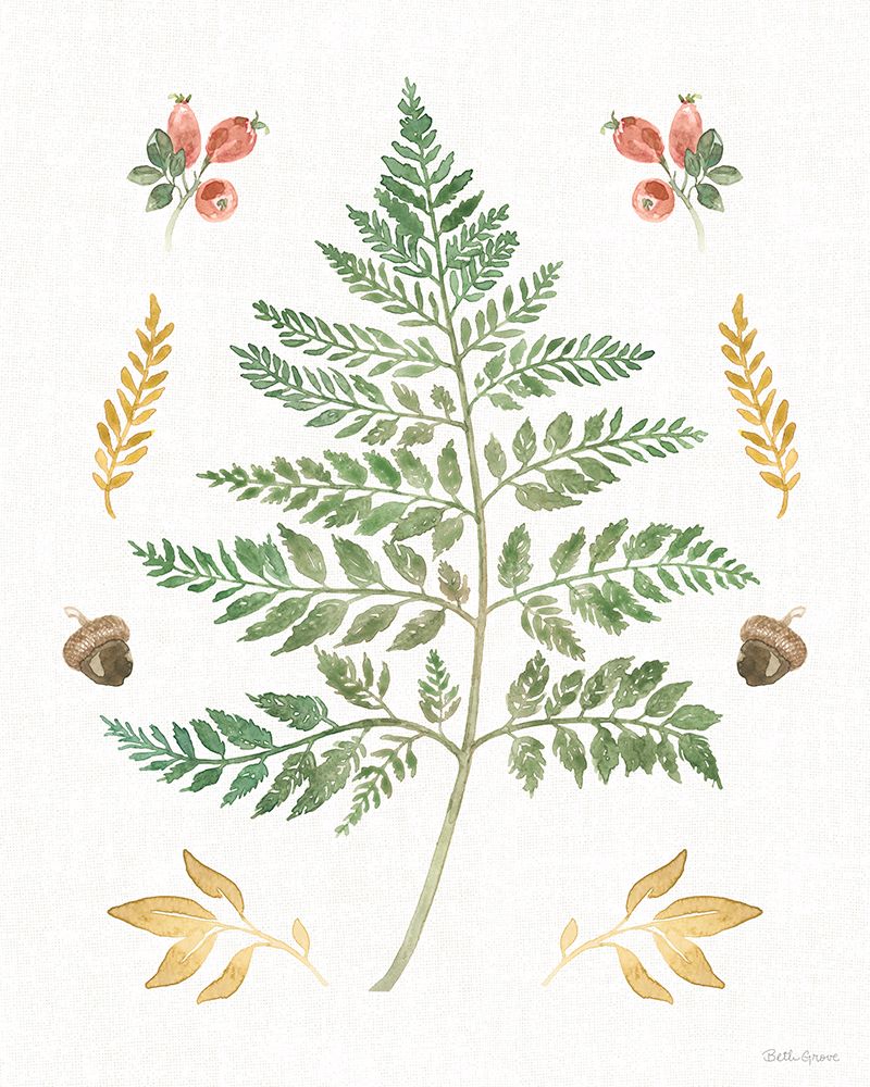 Forest Finds IX art print by Beth Grove for $57.95 CAD