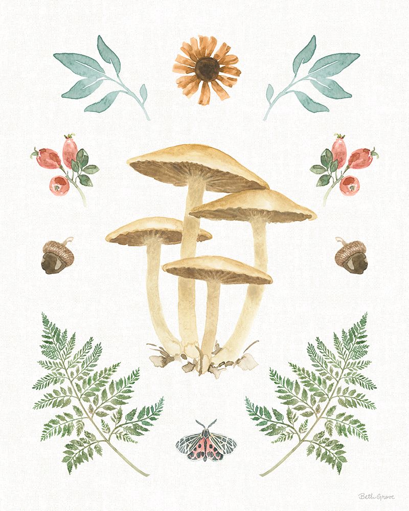 Forest Finds X art print by Beth Grove for $57.95 CAD