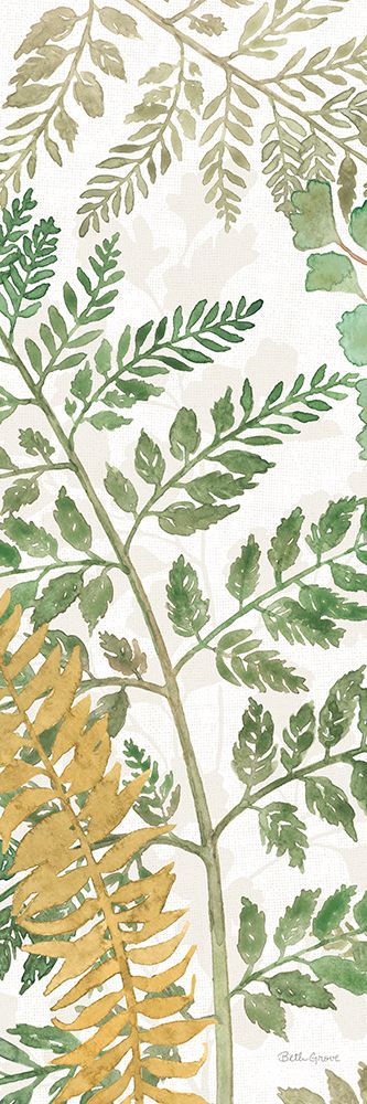 Forest Finds XII art print by Beth Grove for $57.95 CAD