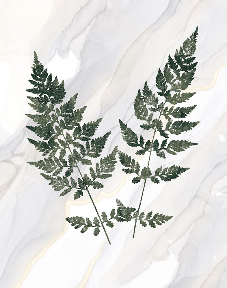 Agate Ferns VII art print by Wild Apple Portfolio for $57.95 CAD
