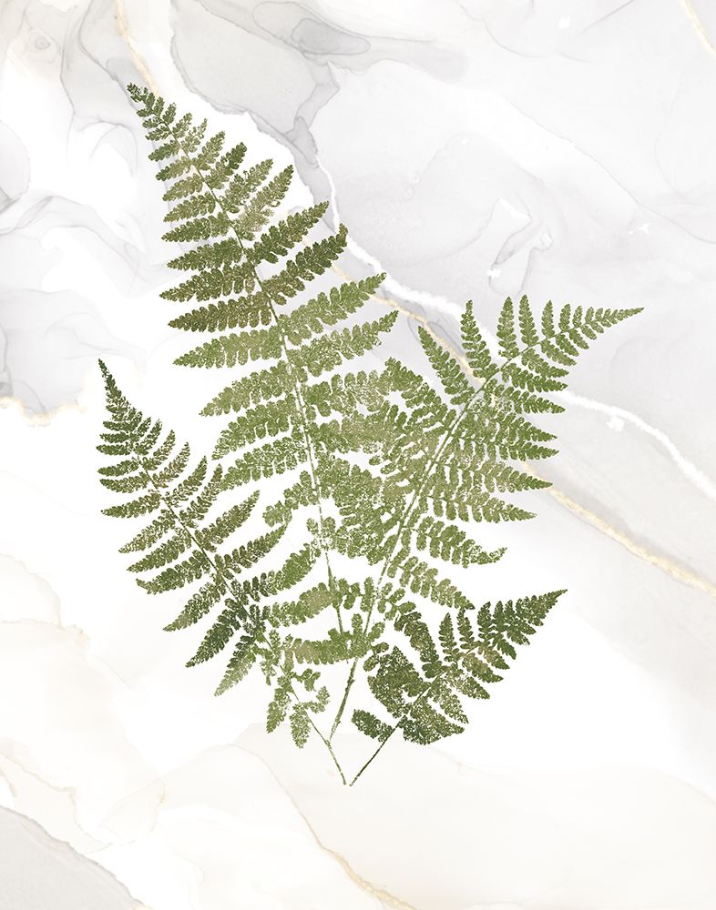 Agate Ferns IX art print by Wild Apple Portfolio for $57.95 CAD