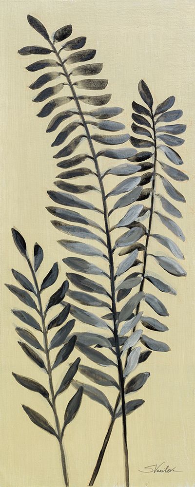 Tall Fern II art print by Silvia Vassileva for $57.95 CAD