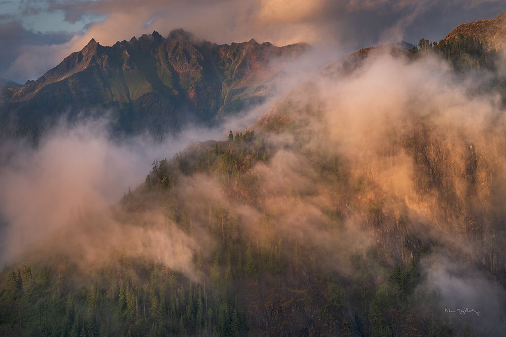 Misty North Cascades art print by Alan Majchrowicz for $57.95 CAD
