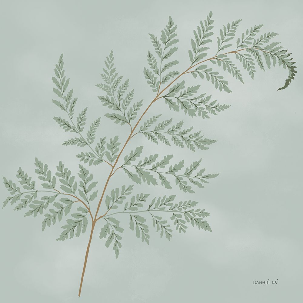 Fern I art print by Danhui Nai for $57.95 CAD