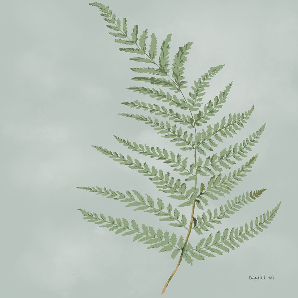 Fern II art print by Danhui Nai for $57.95 CAD