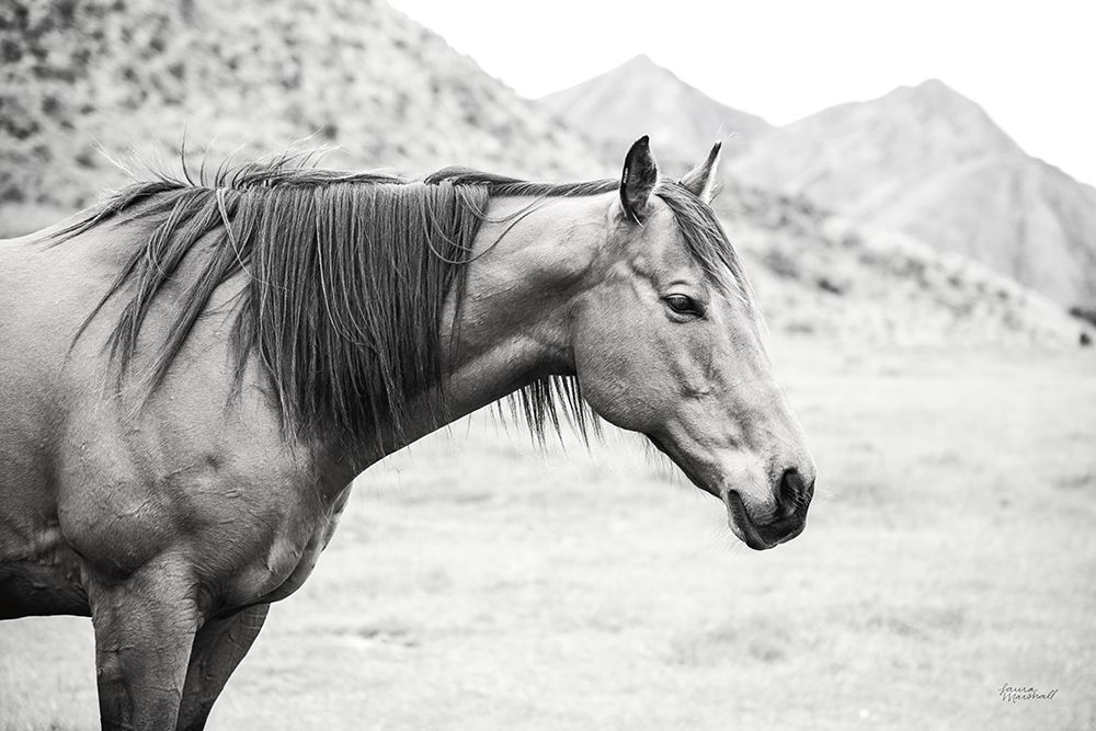 Moke Lake Horses III art print by Laura Marshall for $57.95 CAD