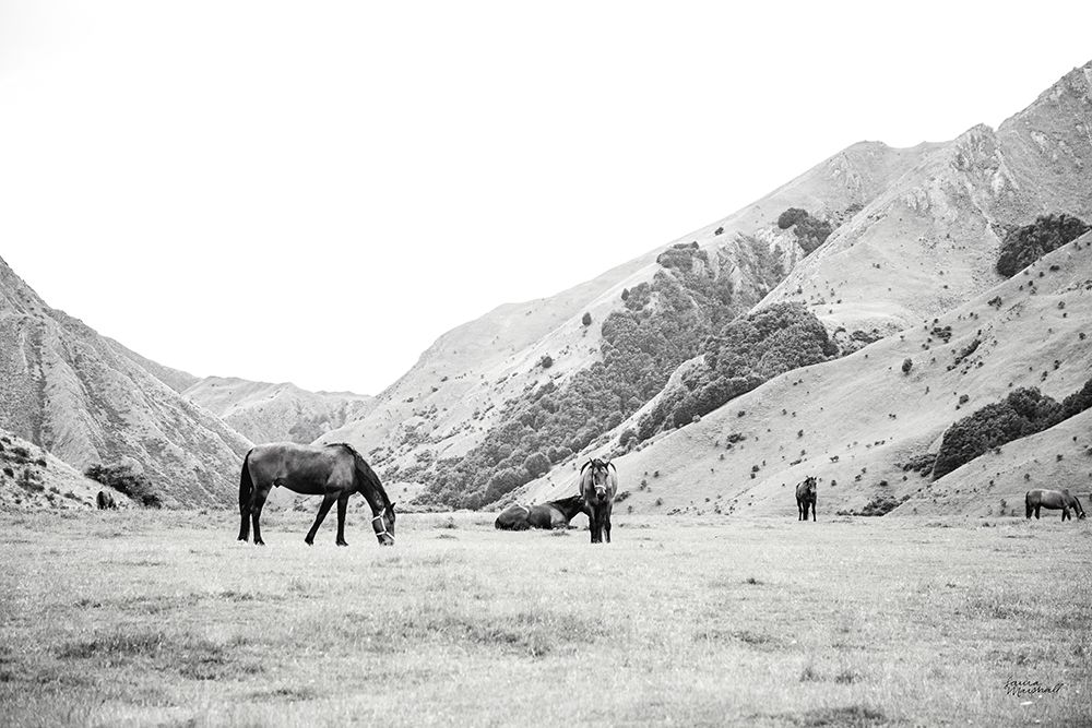 Moke Lake Horses IV art print by Laura Marshall for $57.95 CAD