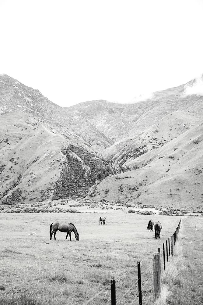 Moke Lake Horses V art print by Laura Marshall for $57.95 CAD