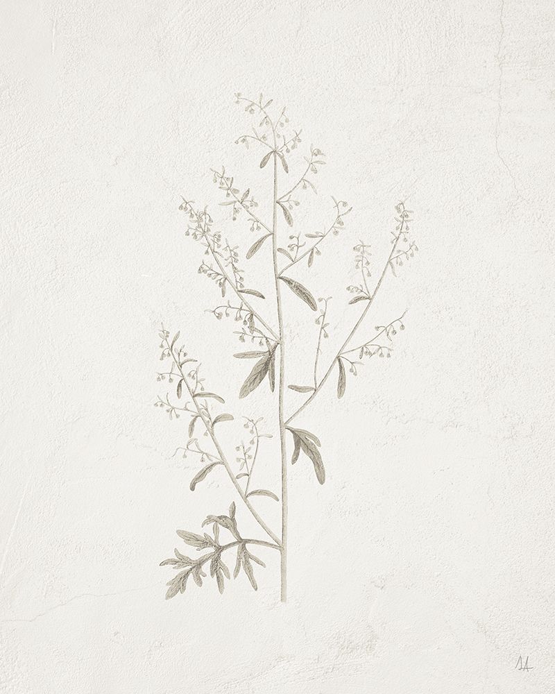 Gifts from the Meadow II art print by Sarah Adams for $57.95 CAD