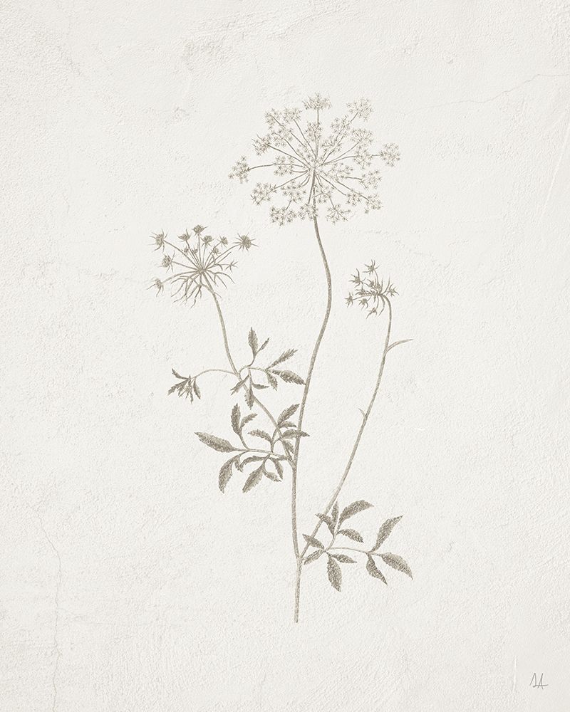Gifts from the Meadow III art print by Sarah Adams for $57.95 CAD