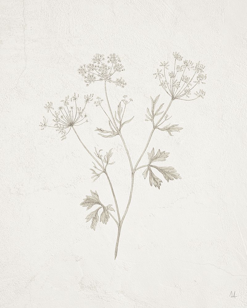 Gifts from the Meadow IV art print by Sarah Adams for $57.95 CAD