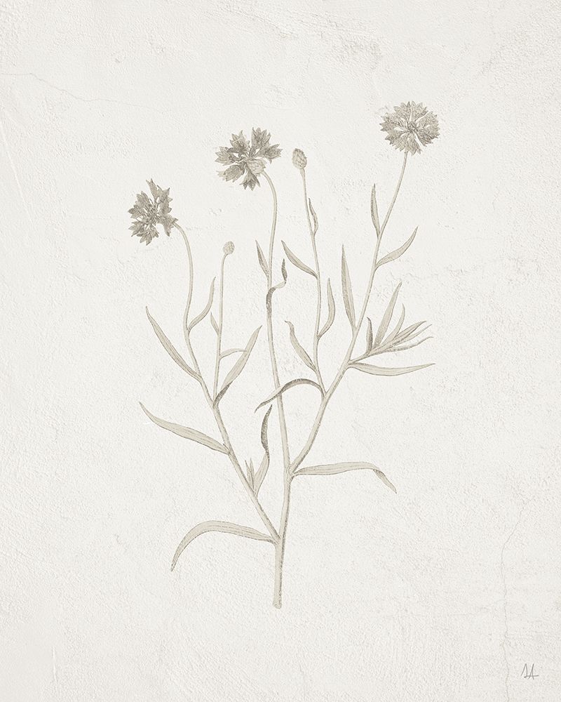 Gifts from the Meadow V art print by Sarah Adams for $57.95 CAD