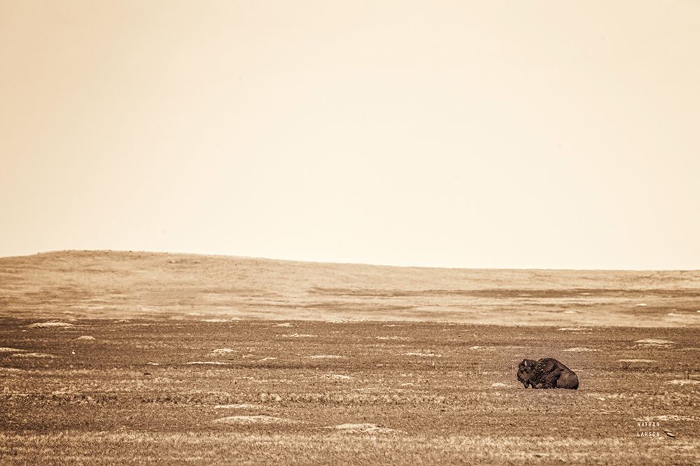 Badlands Guard Sepia art print by Nathan Larson for $57.95 CAD