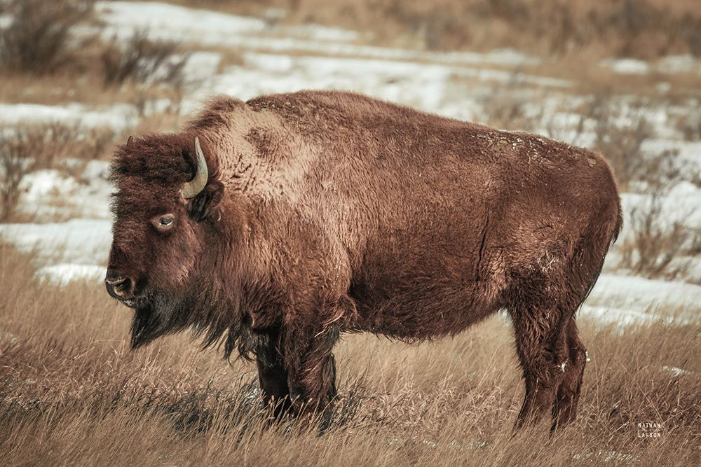 Solitary art print by Nathan Larson for $57.95 CAD