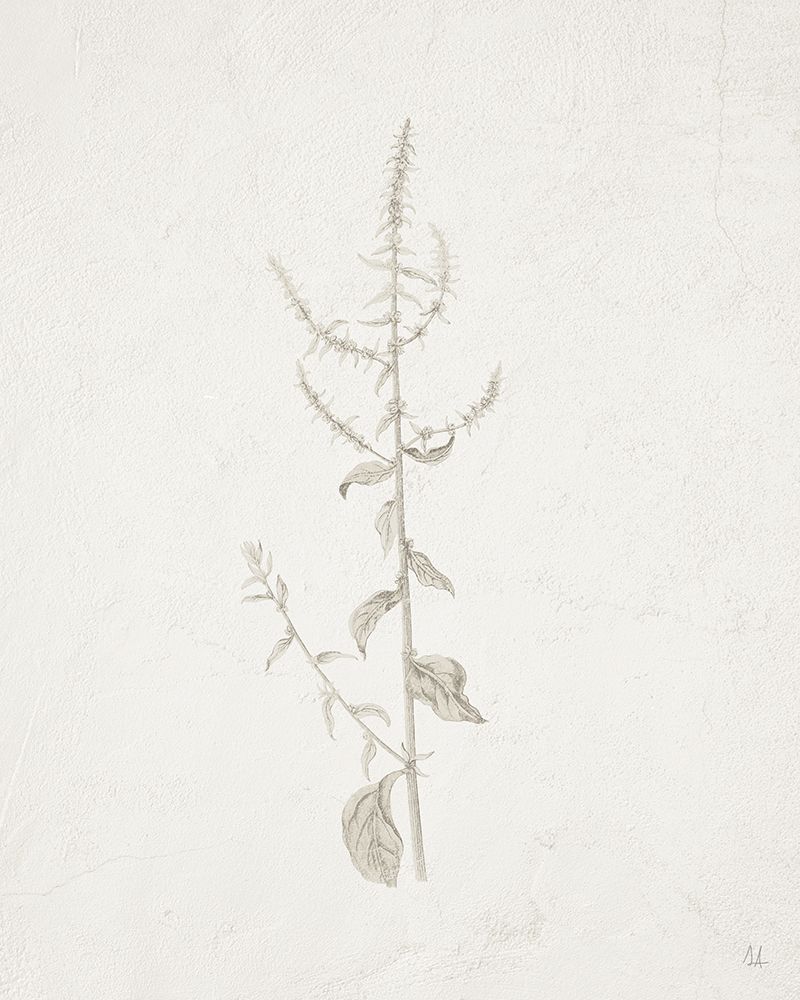 Gifts from the Meadow VI art print by Sarah Adams for $57.95 CAD