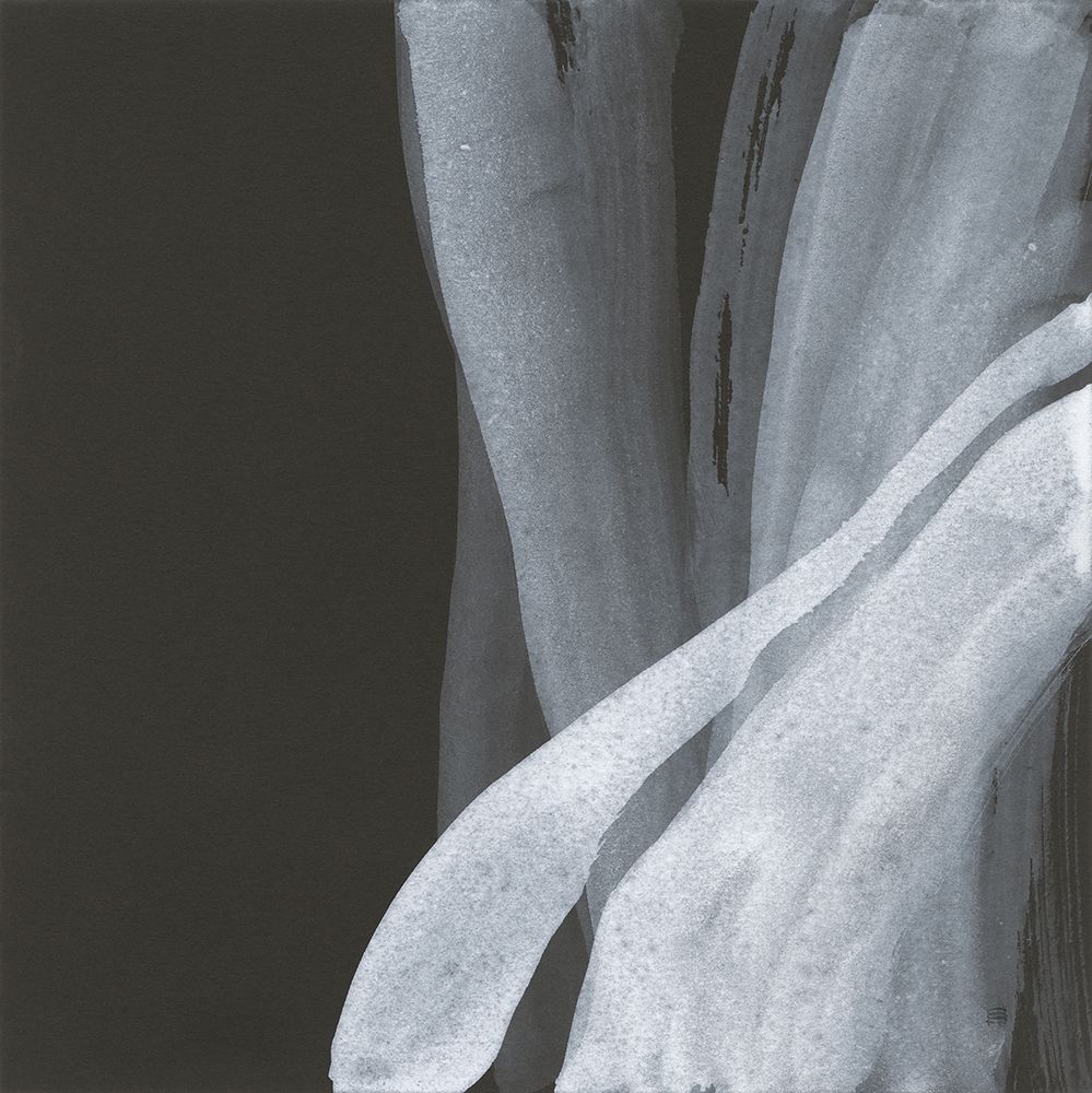 Soft White I art print by Chris Paschke for $57.95 CAD