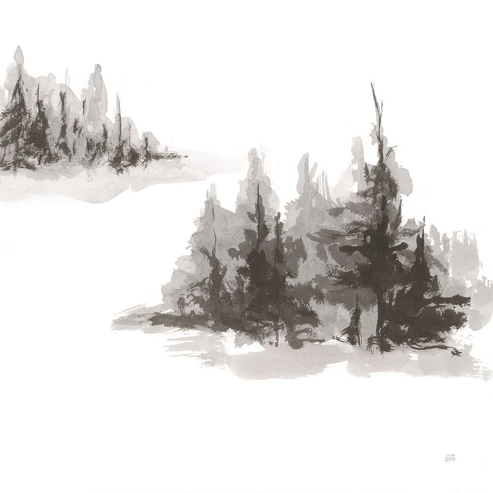 Pinescape IV art print by Chris Paschke for $57.95 CAD