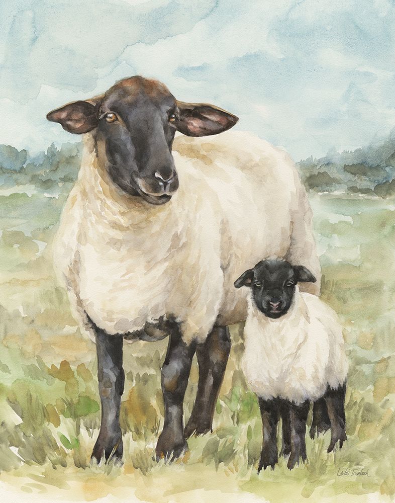 Sheep in a Field art print by Leslie Trimbach for $57.95 CAD