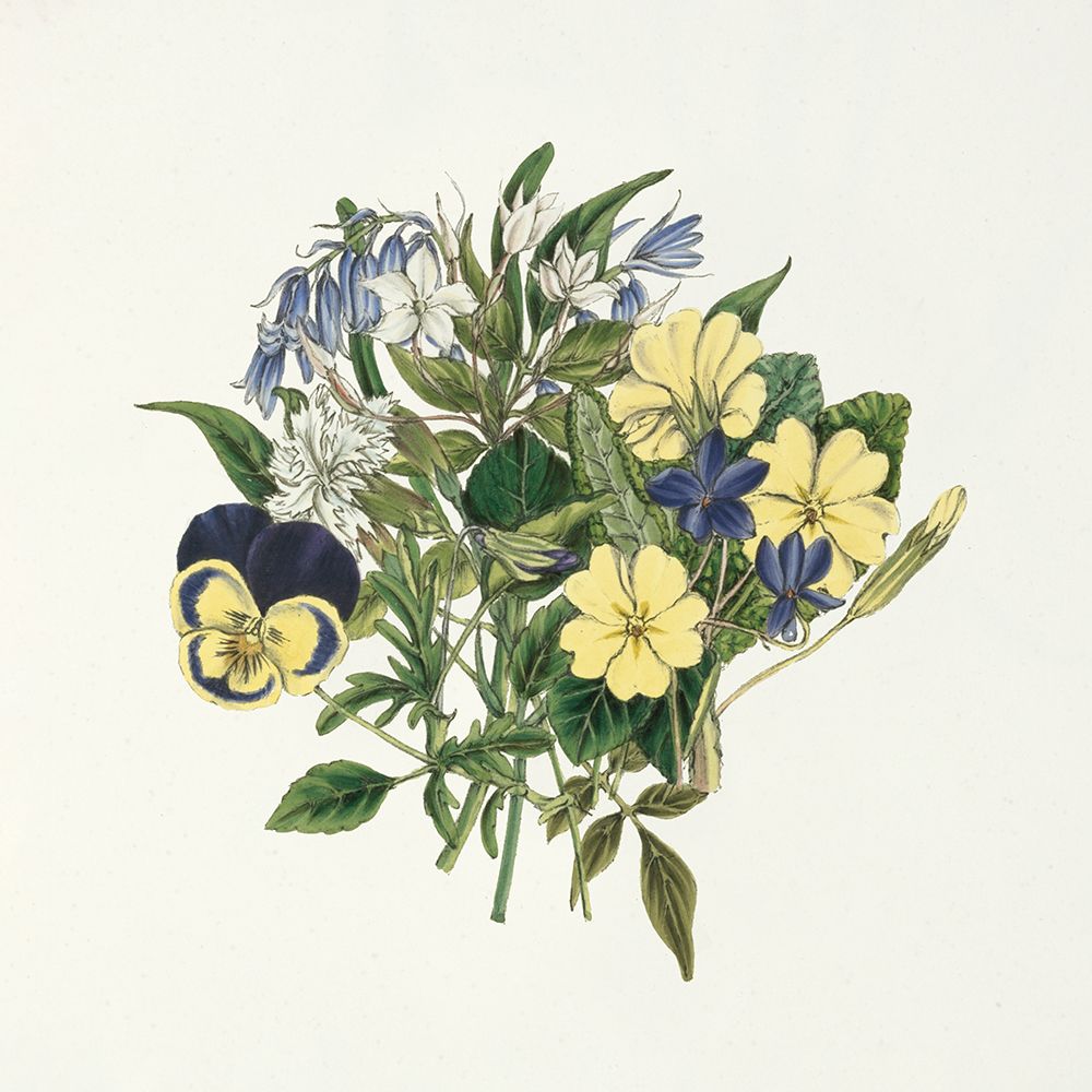 Pansy Party I art print by Wild Apple Portfolio for $57.95 CAD