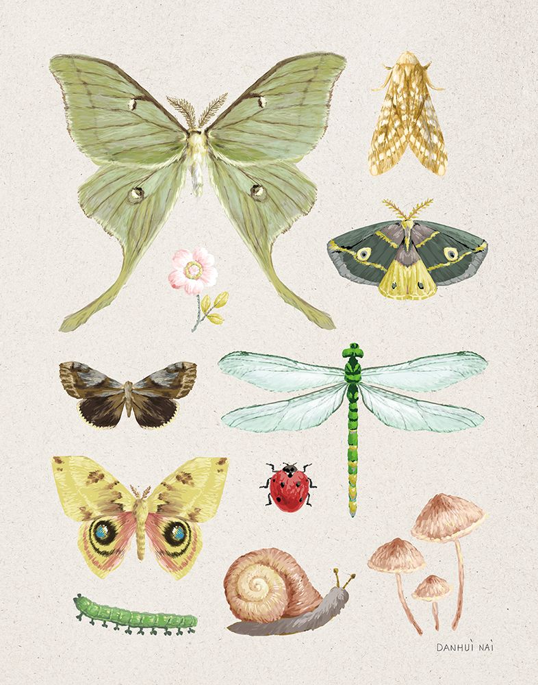 Beauty of the Forest III art print by Danhui Nai for $57.95 CAD