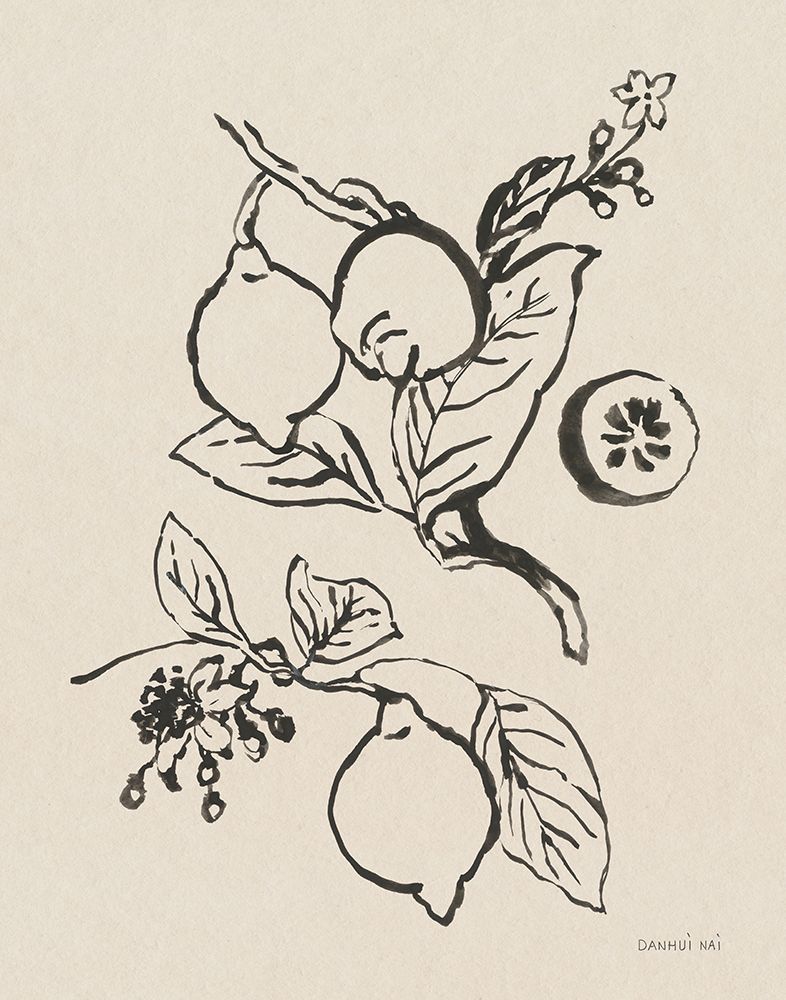Citrus Summer I art print by Danhui Nai for $57.95 CAD